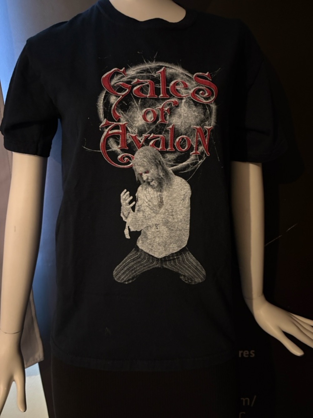 Gildan Black Gales of Avalon Graphic Tee with Red Logo